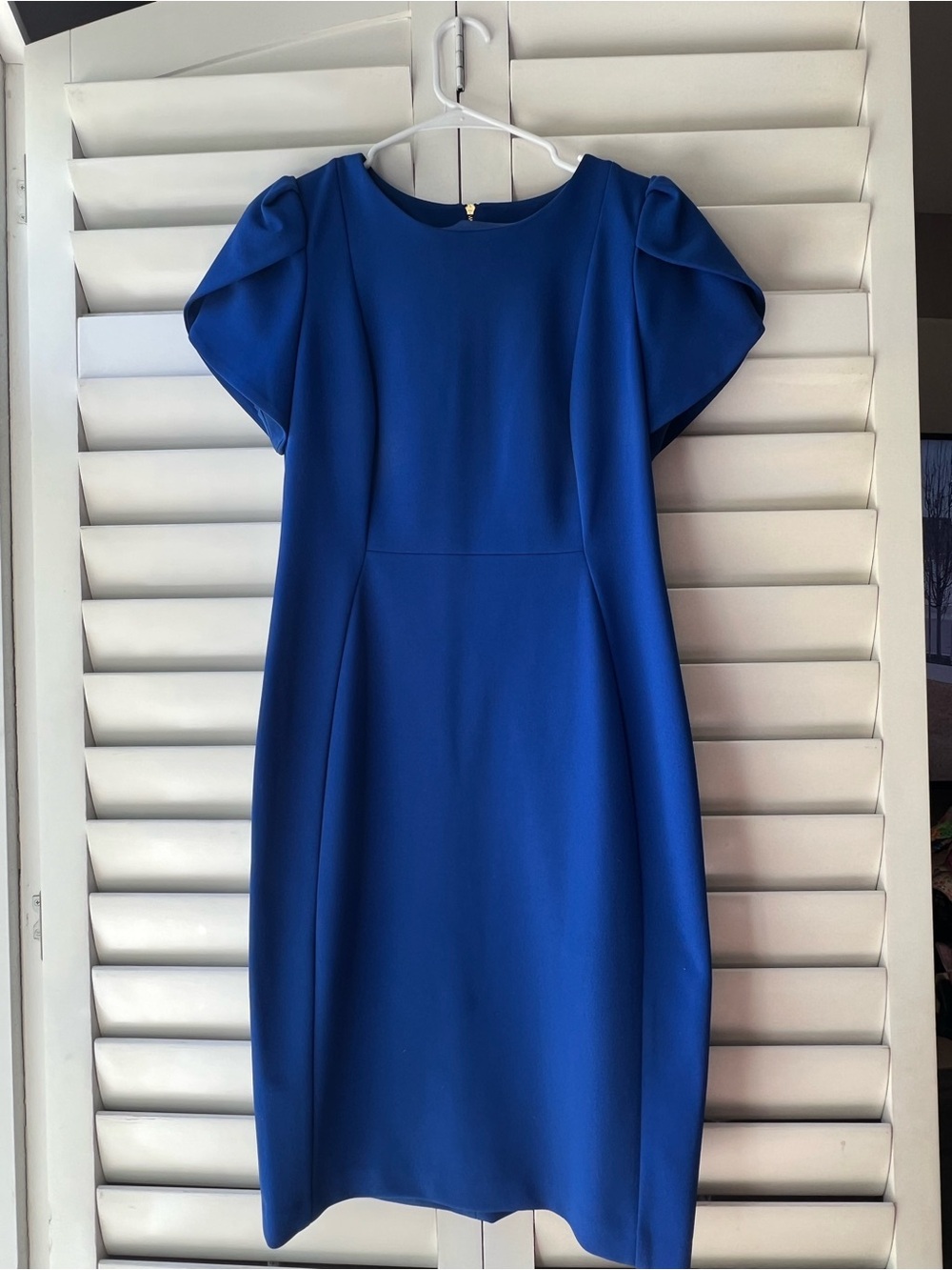 Calvin Klein Cobalt Blue Short Sleeve Sheath Dress
